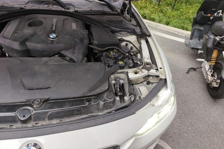 Used BMW 3 Series 2018 320Li Fashion Model Engine Bay Left