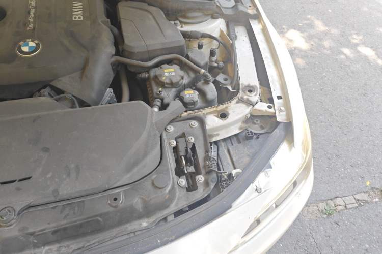 Used BMW 3 Series 2018 320Li Fashion Model Engine Bay Left