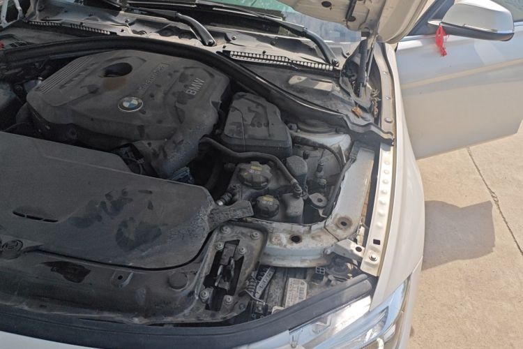 Used BMW 3 Series 2018 320Li Fashion Model Engine Bay Left