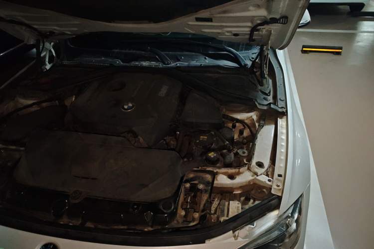 Used BMW 3 Series 2018 320Li Fashion Model Engine Bay Left
