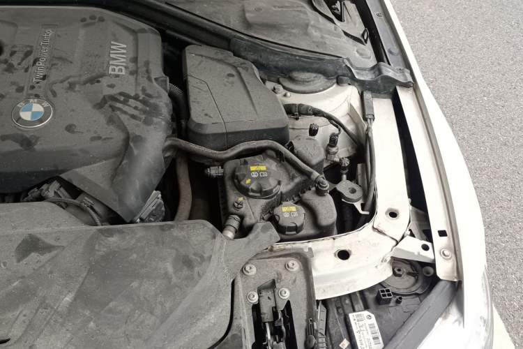 Used BMW 3 Series 2018 320Li Fashion Model Engine Bay Left