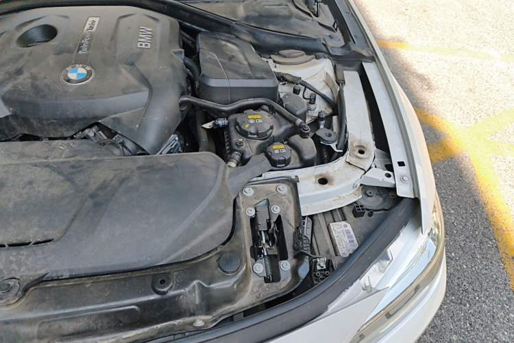 Used BMW 3 Series 2018 320Li Fashion Model Engine Bay Left