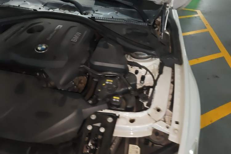 Used BMW 3 Series 2018 320Li Leading Luxury Package Engine Bay Left