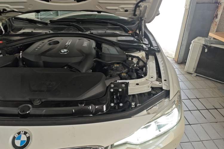 Used BMW 3 Series 2018 320Li Fashion Model Engine Bay Left