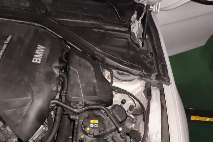 Used BMW 3 Series 2018 320Li Fashion Model Engine Bay Left