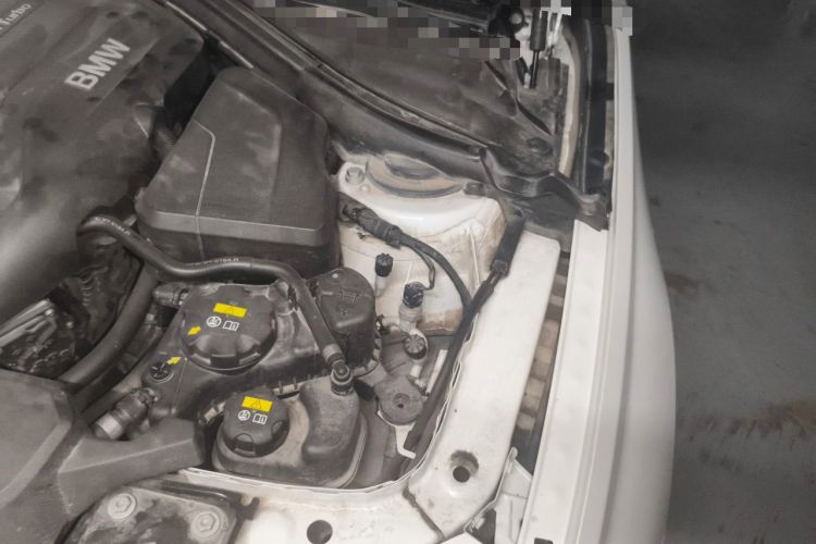 Used BMW 3 Series 2018 320Li xDrive Fashion Model Engine Bay Left