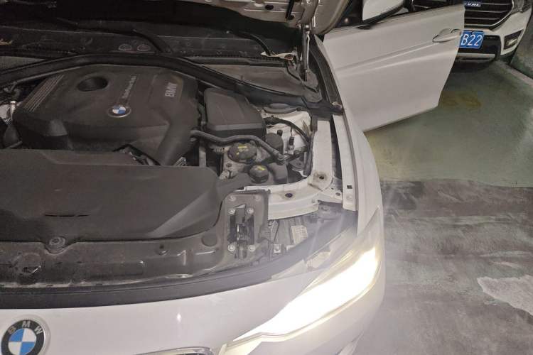 Used BMW 3 Series 2018 320Li Fashion Model Engine Bay Left