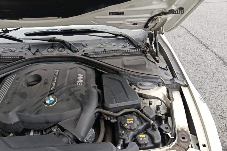 Used BMW 3 Series 2018 320Li M Sport Night Edition Engine Bay Left