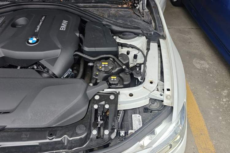 Used BMW 3 Series 2018 320Li xDrive Fashion Model Engine Bay Left