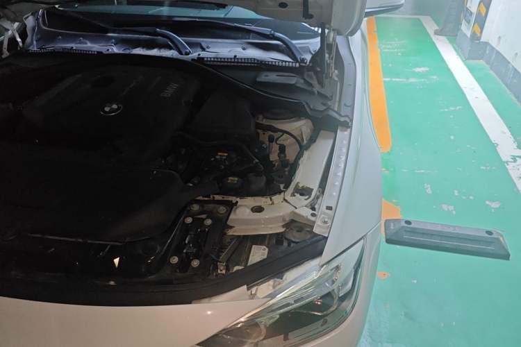 Used BMW 3 Series 2018 320Li Fashion Model Engine Bay Left