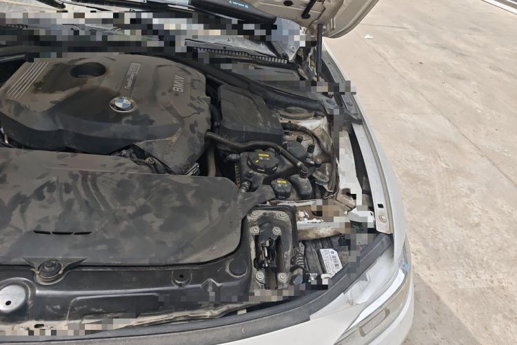 Used BMW 3 Series 2018 320Li xDrive Fashion Model Engine Bay Left