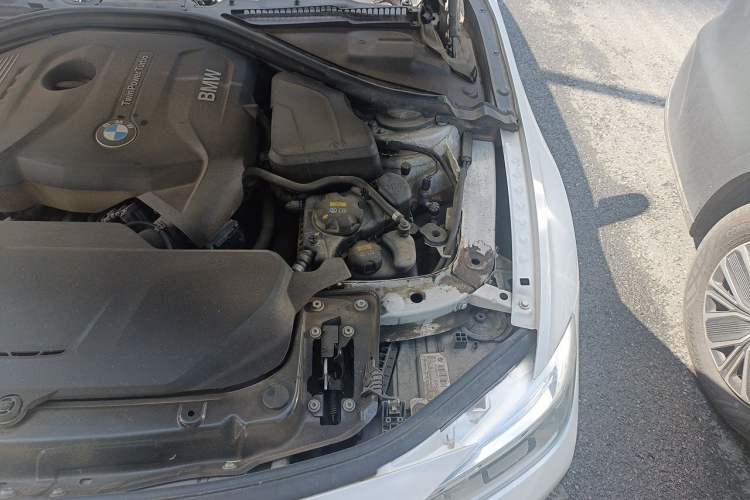 Used BMW 3 Series 2018 320Li xDrive Fashion Model Engine Bay Left
