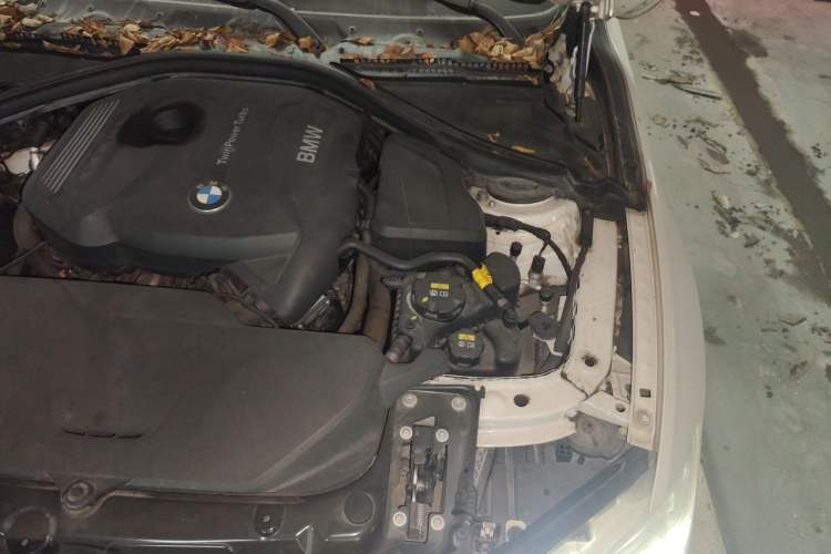 Used BMW 3 Series 2018 320Li Fashion Model Engine Bay Left