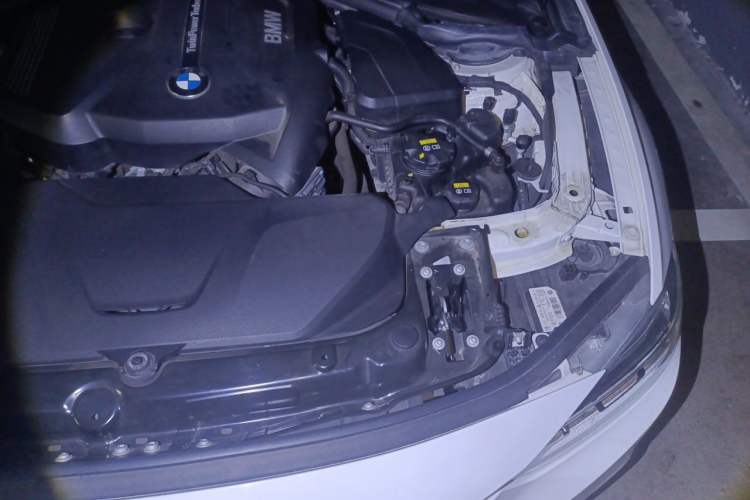 Used BMW 3 Series 2018 320Li Leading Model M Sport Package Engine Bay Left