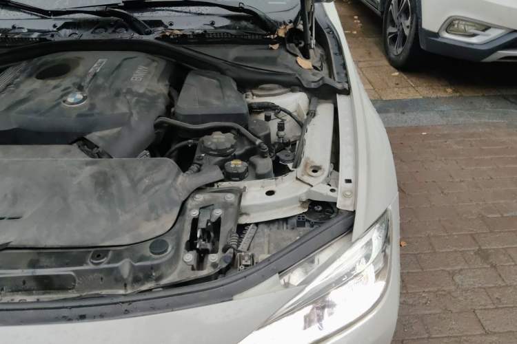 Used BMW 3 Series 2018 320Li Fashion Model Engine Bay Left