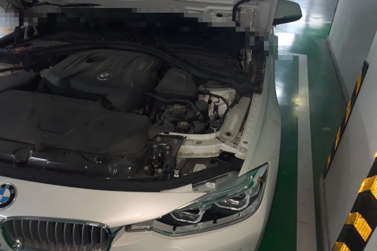 Used BMW 3 Series 2018 320Li Fashion Model Engine Bay Left
