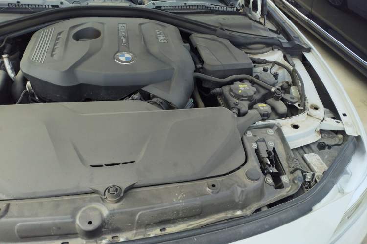 Used BMW 3 Series 2018 320Li xDrive Fashion Model Engine Bay Left