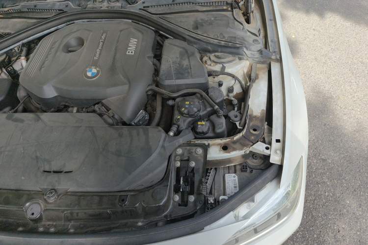 Used BMW 3 Series 2018 320Li Fashion Model Engine Bay Left