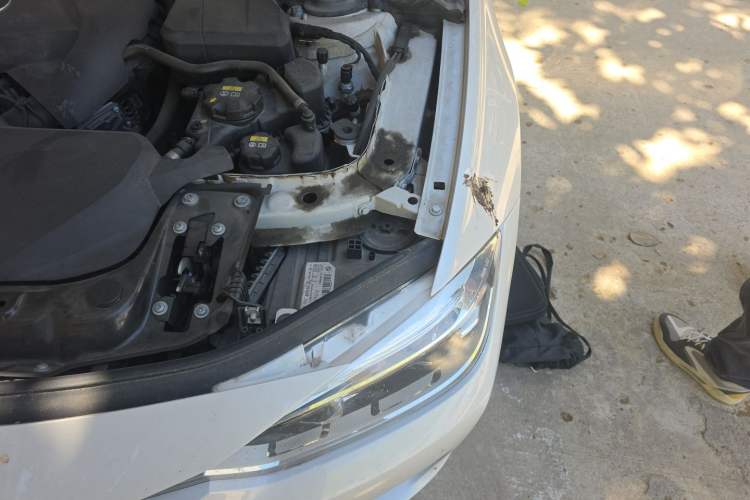 Used BMW 3 Series 2018 320Li Fashion Model Engine Bay Left