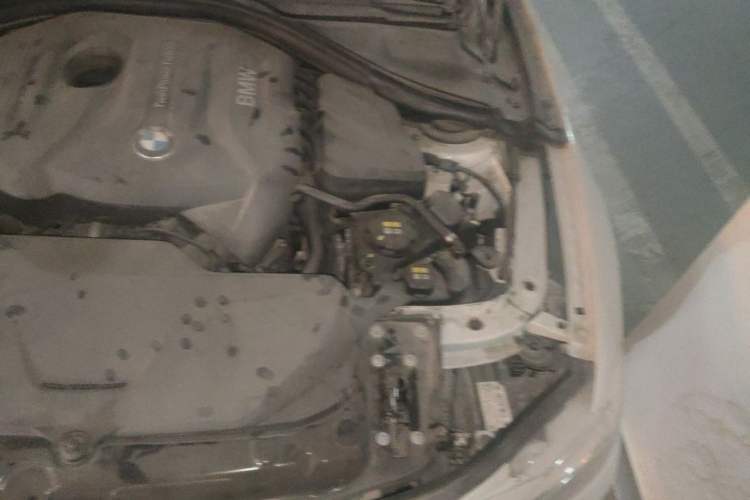 Used BMW 3 Series 2018 320Li Leading Luxury Package Engine Bay Left