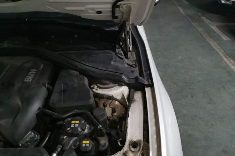 Used BMW 3 Series 2018 320Li Fashion Model Engine Bay Left