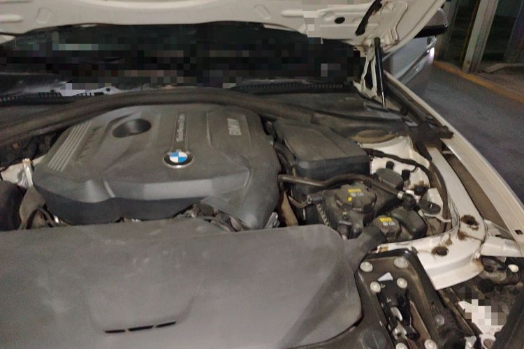 Used BMW 3 Series 2018 320Li Fashion Model Engine Bay Left