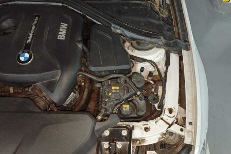 Used BMW 3 Series 2018 320Li Fashion Model Engine Bay Left