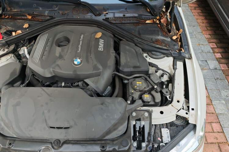 Used BMW 3 Series 2018 320Li Fashion Model Engine Bay Left