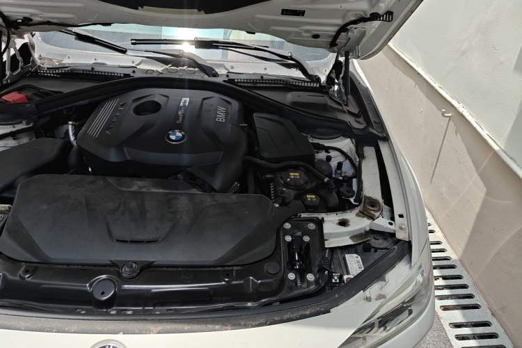 Used BMW 3 Series 2018 320Li Fashion Model Engine Bay Left