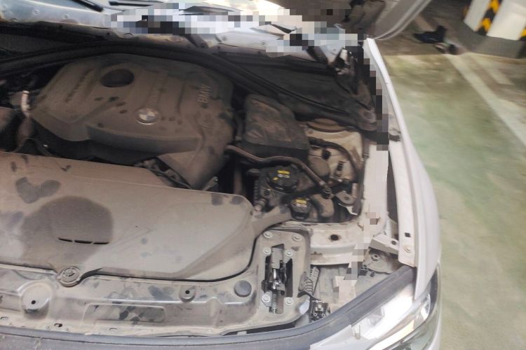 Used BMW 3 Series 2018 320Li Fashion Model Engine Bay Left