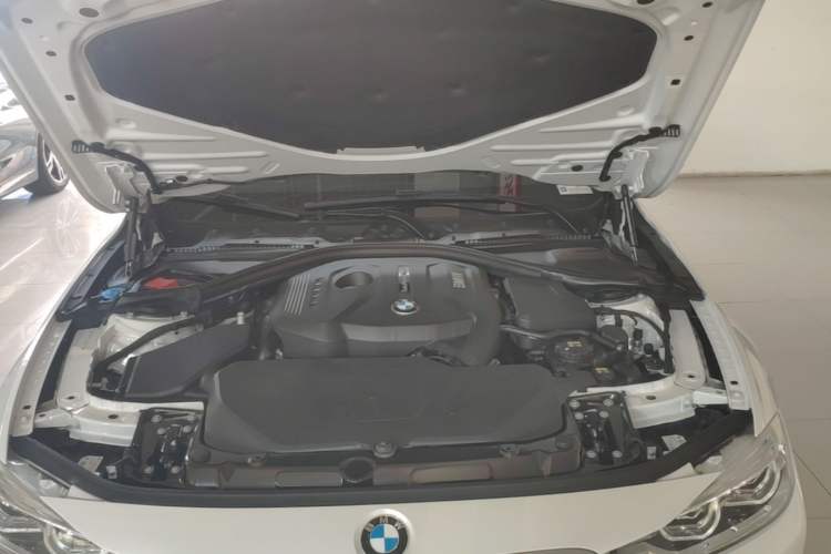Used BMW 3 Series 2018 320Li xDrive Fashion Model Engine Bay