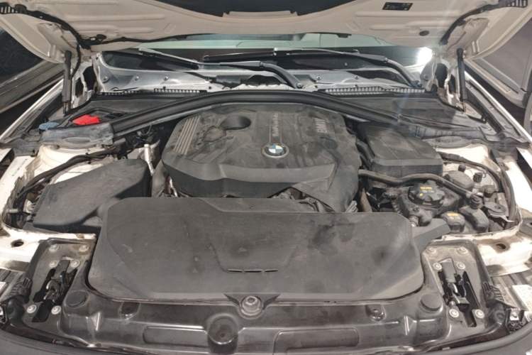 Used BMW 3 Series 2018 320Li Fashion Model Engine Bay