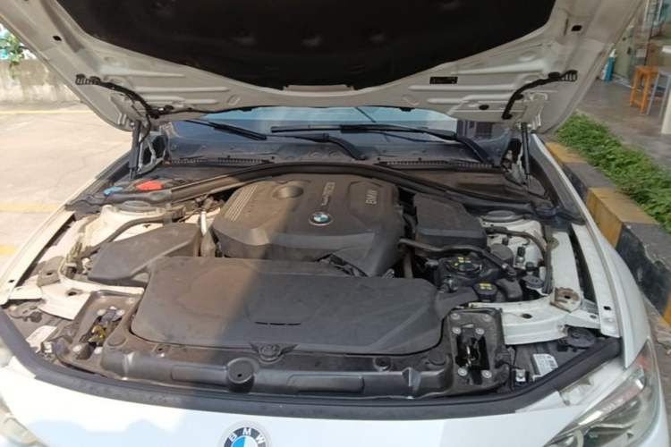 Used BMW 3 Series 2018 320Li Fashion Model Engine Bay