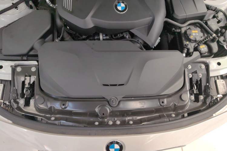 Used BMW 3 Series 2018 320Li Fashion Model Engine Bay