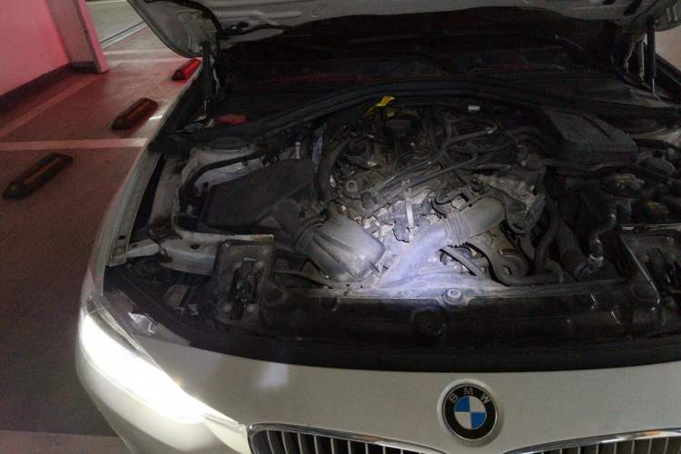 Used BMW 3 Series 2018 320Li Fashion Model Engine Bay Right