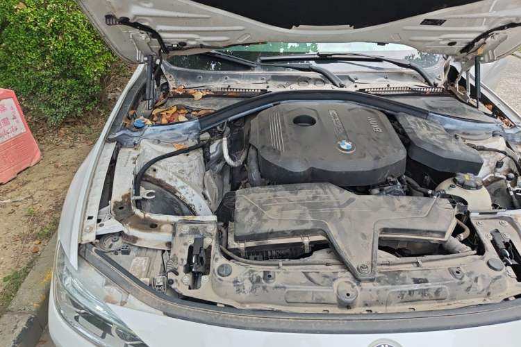 Used BMW 3 Series 2018 318Li Engine Bay Right