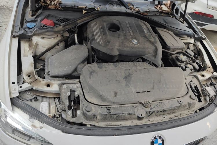 Used BMW 3 Series 2018 320Li Fashion Model Engine Bay Right