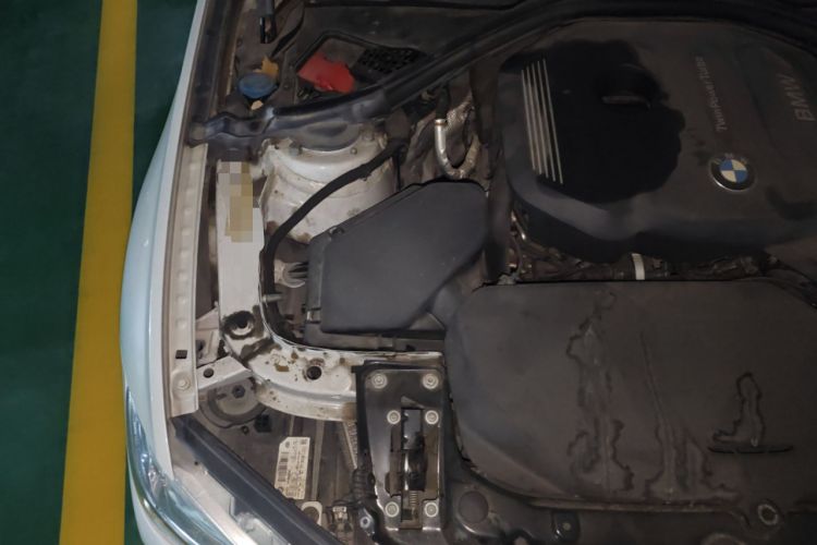 Used BMW 3 Series 2018 320Li Fashion Model Engine Bay Right