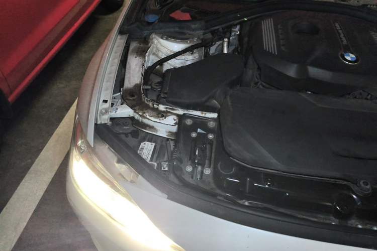 Used BMW 3 Series 2018 320Li Fashion Model Engine Bay Right
