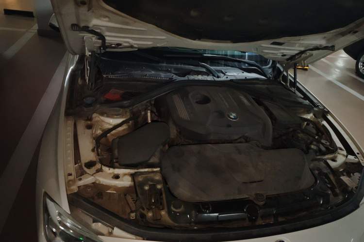 Used BMW 3 Series 2018 320Li Fashion Model Engine Bay Right