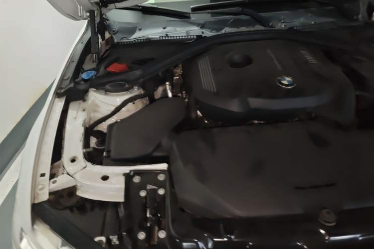 Used BMW 3 Series 2018 320Li Leading Luxury Package Engine Bay Right