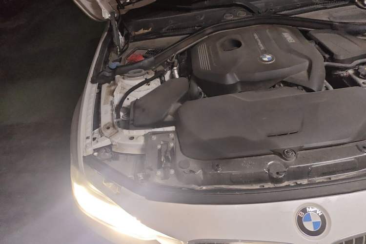 Used BMW 3 Series 2018 320Li Fashion Model Engine Bay Right
