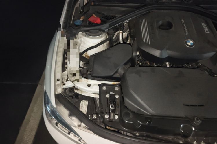 Used BMW 3 Series 2018 320Li Fashion Model Engine Bay Right