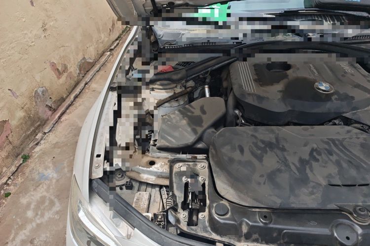 Used BMW 3 Series 2018 320Li xDrive Fashion Model Engine Bay Right