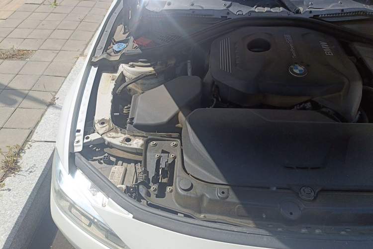 Used BMW 3 Series 2018 320Li xDrive Fashion Model Engine Bay Right