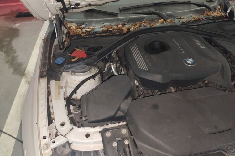 Used BMW 3 Series 2018 320Li Fashion Model Engine Bay Right