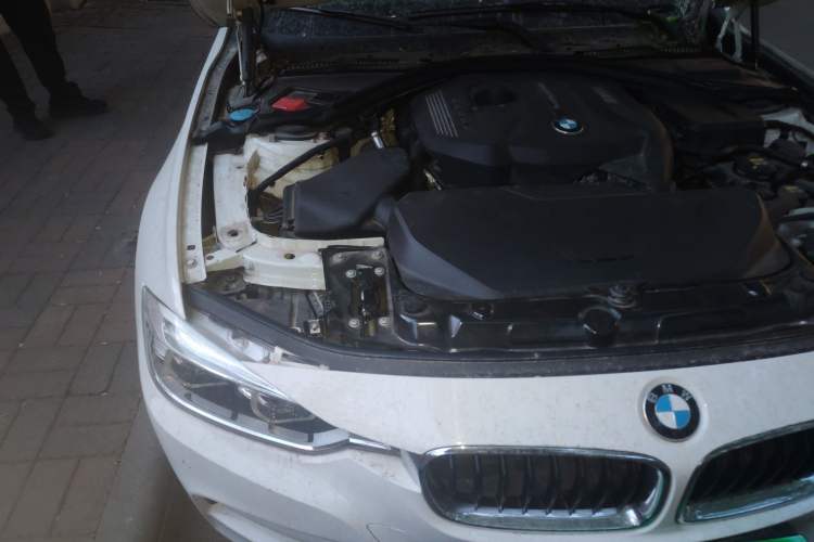 Used BMW 3 Series 2018 320Li Leading Model M Sport Package Engine Bay Right