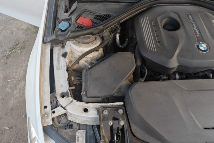 Used BMW 3 Series 2018 320Li Leading Luxury Package Engine Bay Right