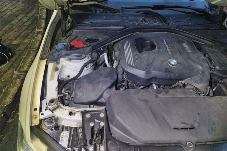 Used BMW 3 Series 2018 320Li M Sport Night Edition Engine Bay Right