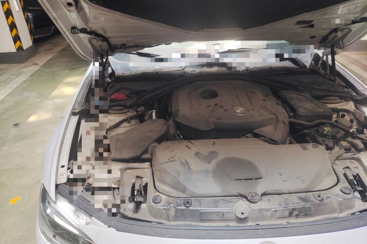 Used BMW 3 Series 2018 320Li Fashion Model Engine Bay Right